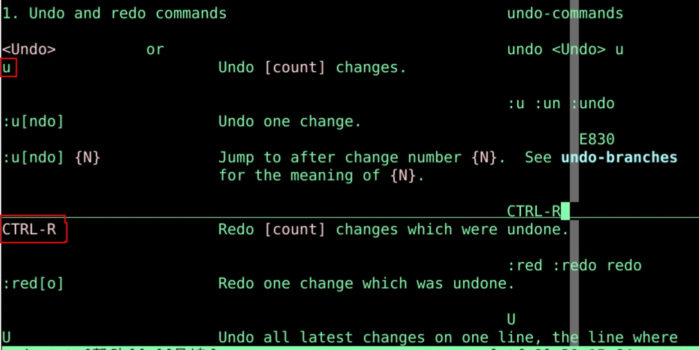 [oeasy]python024_vim读取文件_从头复制到尾_撤销_重做_reg_寄存器