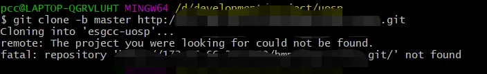 remote: The project you were looking for could not be found.