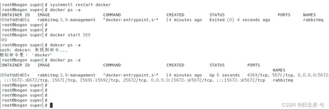 docker报错：iptables: No chain/target/match by that name.
