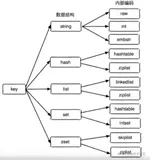 Redis大全手册（上）