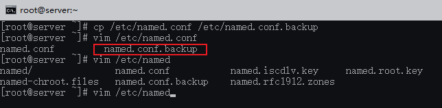 DNS服务器搭建（Linux版本）