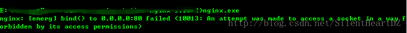 Nginx启动报[10013]错误