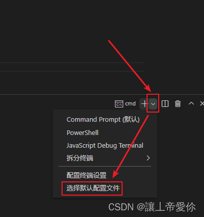 VSCode配置终端为系统命令行