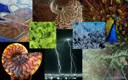 Python Turtle库画一棵对称勾股树，美丽惊艳的分形世界！