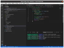 linux中VScode中文乱码问题：一行代码解决