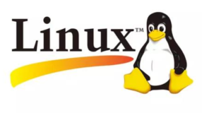 Linux进程控制【进程创建终止和等待】