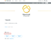 Navicat15安装使用教程全网最细)