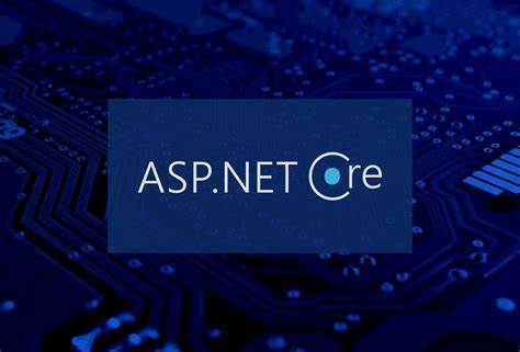 ASP.NET Core 自定义配置警告信息