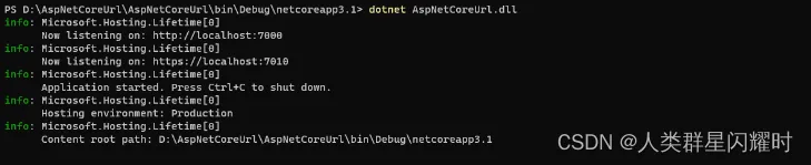 ASP.NET Core 使用记录1