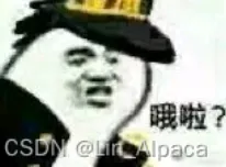 【数据结构】带头双向循环链表的实现（C语言）