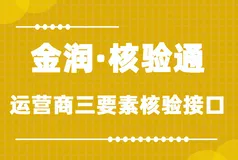 金润·核验通-运营商三要素验证接口文档