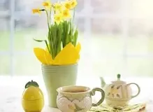 从团队的角度理解自动化