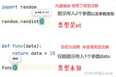 Python类型注解(十)