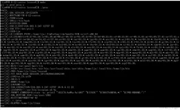 Linux环境变量及作用