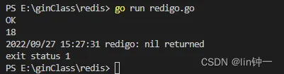 Redis（四）实战：redigo的安装和连接使用