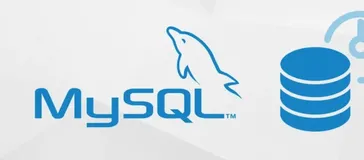 Mysql的数据类型和字段类型详解