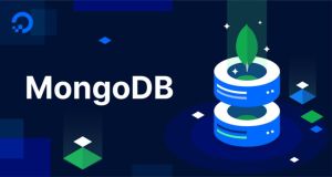 【MongoDB 专栏】MongoDB 入门指南：从零开始学习