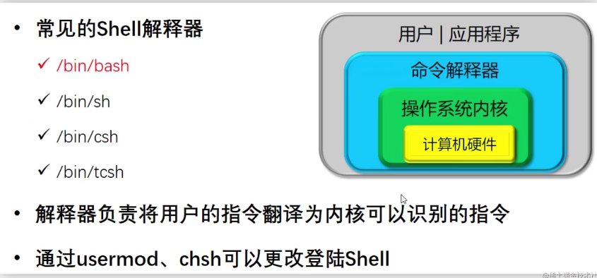 Shell 使用必懂基础知识点