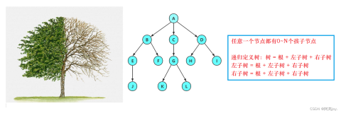 【数据结构与算法】二叉树（上）