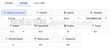 阿里云轻量应用服务器可以自己部署环境吗？