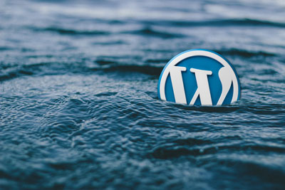 选WordPress作为电子商务网站技术开发怎么样？WordPress建站选哪家公司？