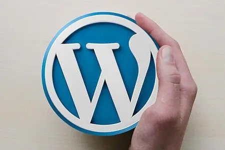 WordPress 的最佳设计和自定义页面布局生成器是什么吗？