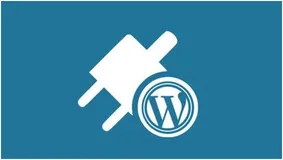 Wordpress如何降低插件安全风险？Wordpress建站操作简单吗？