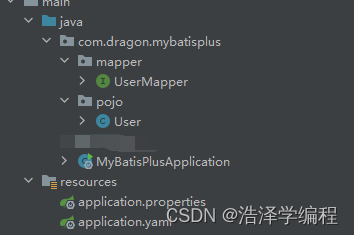MyBatisPlus之基本CRUD、常用注解