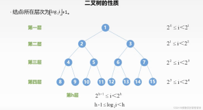 万字超全详解：二叉树的基本操作（C语言版本）（上）
