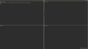 Linux下多窗口分屏式终端--Terminator