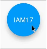 Flutter Button 实例