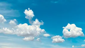 C++类和对象（上）