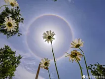 Linux工具学习之【vim】