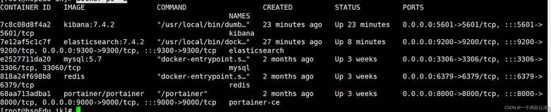 cannot set to file:/usr/share/elasticsearch/plugins/ik/elasticsearch-analysis-ik-7.4.2.jar“