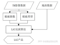 基于TM的遥感数据的叶面积指数估算解决方案