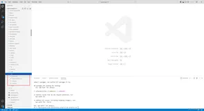 echarts没有map地图解决方案
