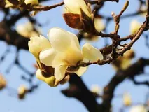 感受野和特征图的深度理解