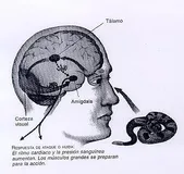 做一个自我觉察的人