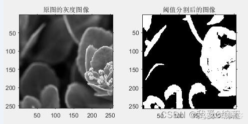 基于免疫遗传优化的图像分割算法matlab仿真