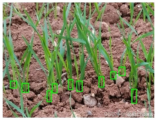 7cbdc00c42a7f605f40e0cf3f18edb90_watermark,size_14,text_QDUxQ1RP5Y2a5a6i,color_FFFFFF,t_100,g_se,x_10,y_10,shadow_20,type_ZmFuZ3poZW5naGVpdGk=.png 7cbdc00c42a7f605f40e0cf3f18edb90_watermark,size_14,text_QDUxQ1RP5Y2a5a6i,color_FFFFFF,t_100,g_se,x_10,y_10,shadow_20,type_ZmFuZ3poZW5naGVpdGk=.png