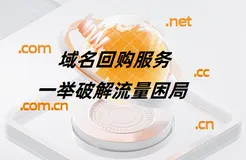 当好域名愈发凤毛麟角，如何破解流量困局？