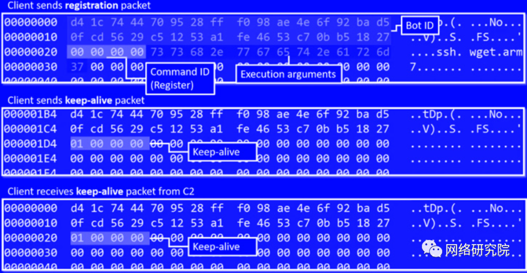 通过 SSH 暴力攻击 Linux 服务器