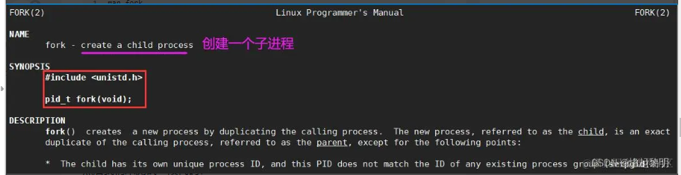 一文带你轻松入门Linux中的『进程』-2