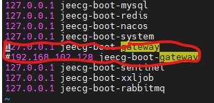 在虚拟机中部署jeecg微服务--Docker镜像启动微服务项目不显示gateway界面问题