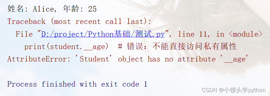 面向对象编程（OOP）：Python中的抽象与封装