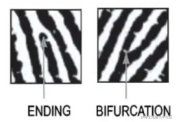 1689134056916.png