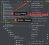idea文件夹目录结构变成一行怎么办