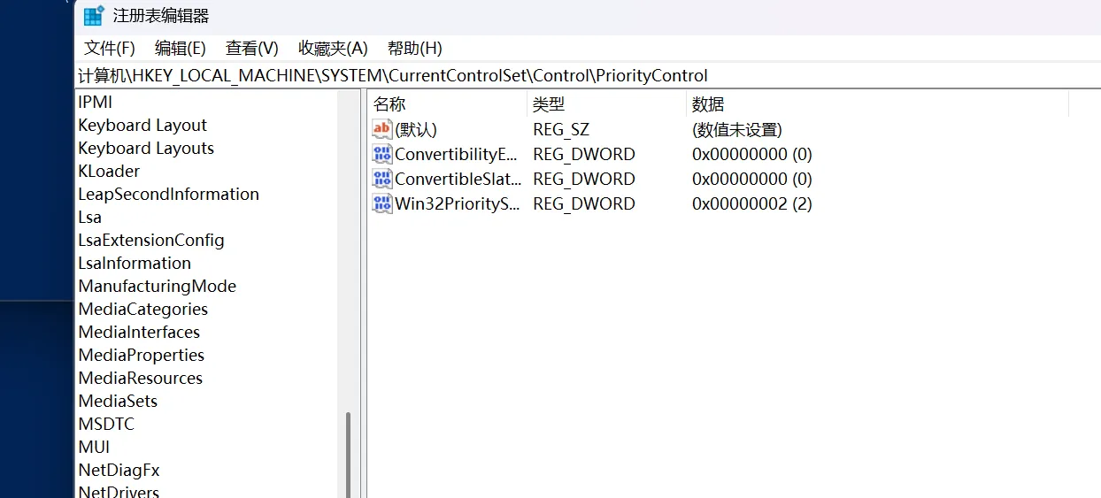 在 PriorityControl 下新建 ConvertibilityEnabled = 0