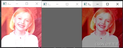 Opencv(图像处理)-基于Python-图像的基本运算-给图片加水印