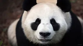 Java设置和获取线程名称及线程休眠